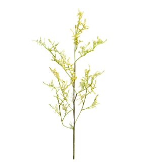 Mr Plant Limonium 100 cm gul