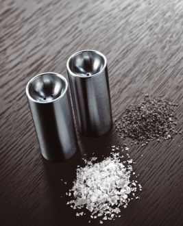 Stelton Arne Jacobsen Salt & Pepper Sett