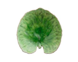 Costa Nova Riviera tallrik näckrosblad grön / svart - 18 cm
