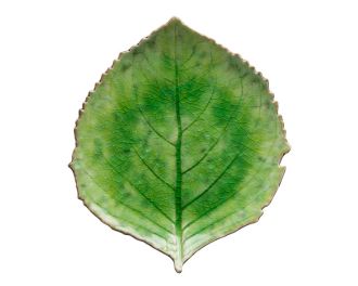 Costa Nova Riviera tallrik hortensia blad grön / svart - 22 cm